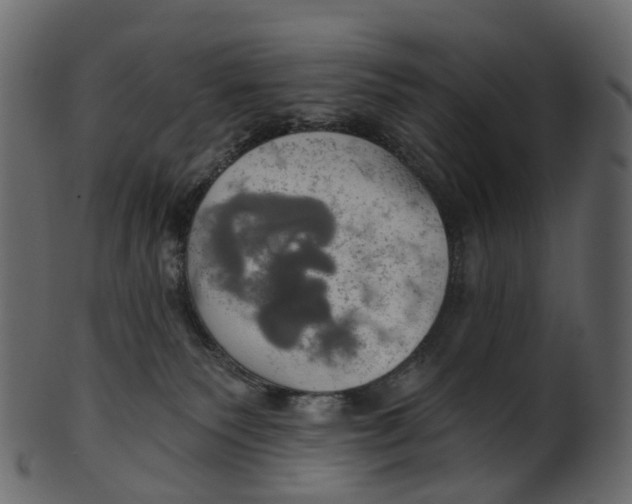 X0000100470135200807031837