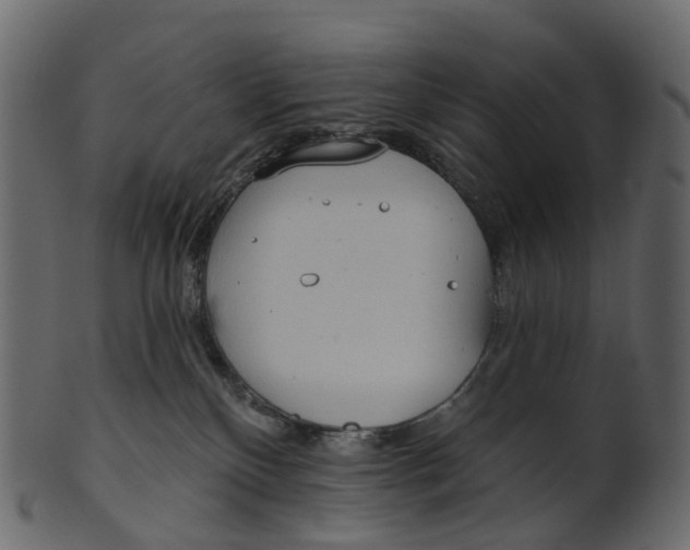 X0000100470136200807031837