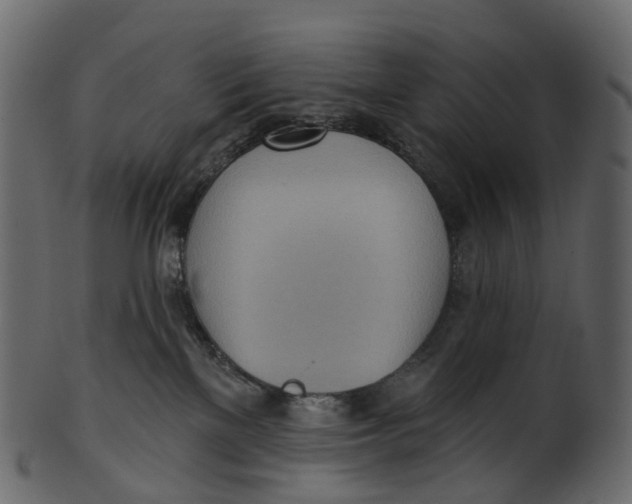 X0000100470137200807031837