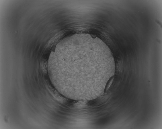 X0000100470138200807031837