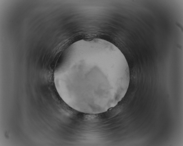 X0000100470139200807031837