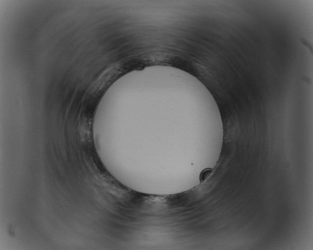 X0000100470140200807031837