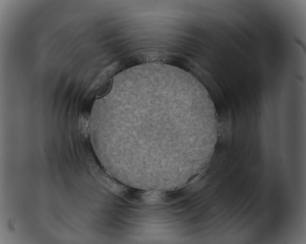 X0000100470142200807031837