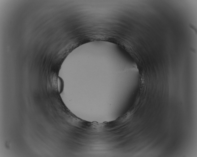 X0000100470143200807031837