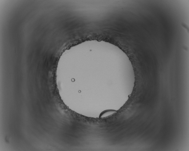 X0000100470144200807031837