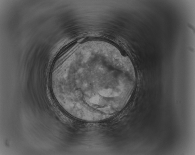 X0000100470145200807031836