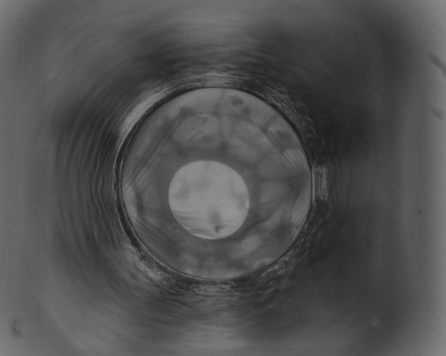 X0000100470147200807031836