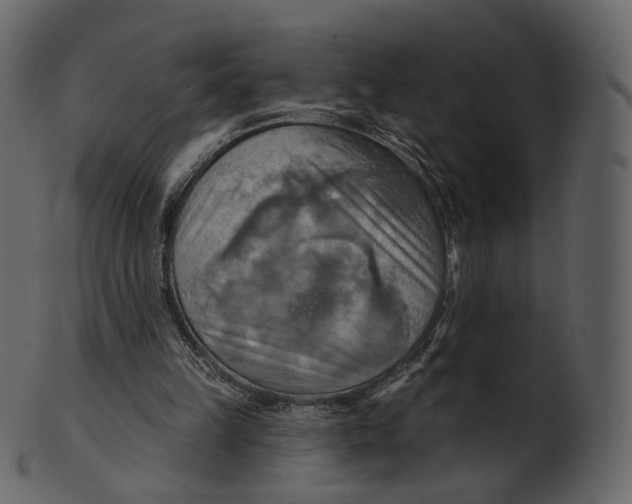 X0000100470149200807031836