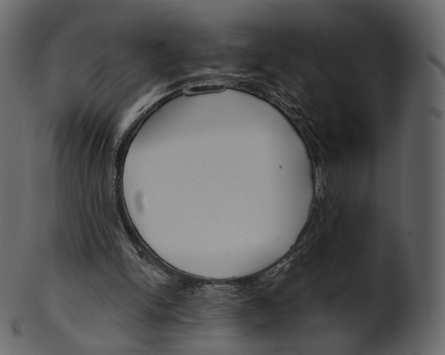 X0000100470150200807031836