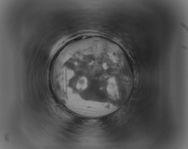 X0000100470151200807031836