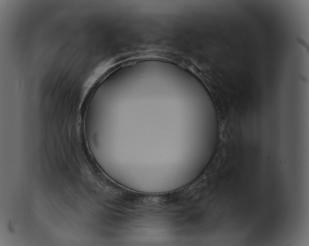 X0000100470152200807031836