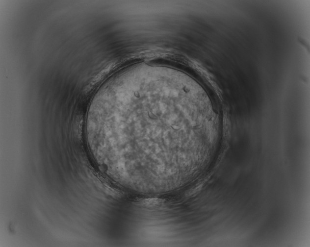 X0000100470153200807031836