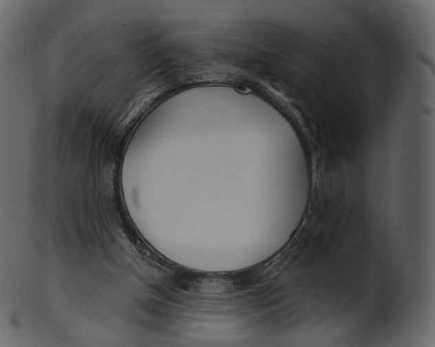 X0000100470154200807031836