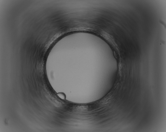 X0000100470156200807031836