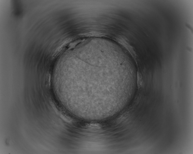 X0000100470157200807031836