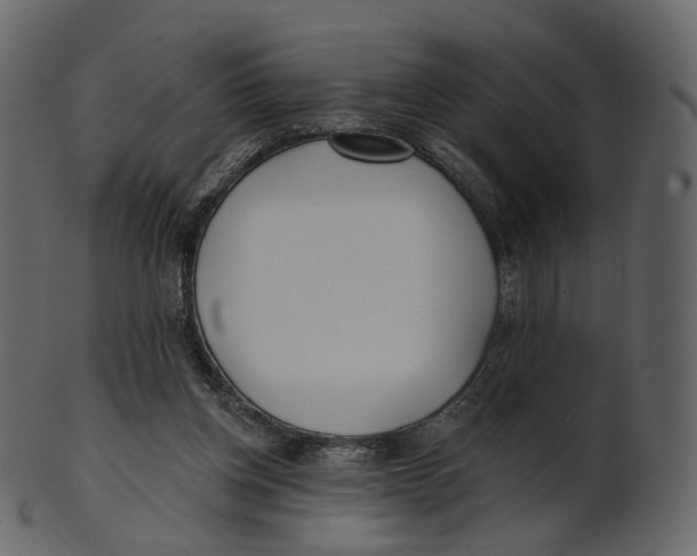 X0000100470158200807031836