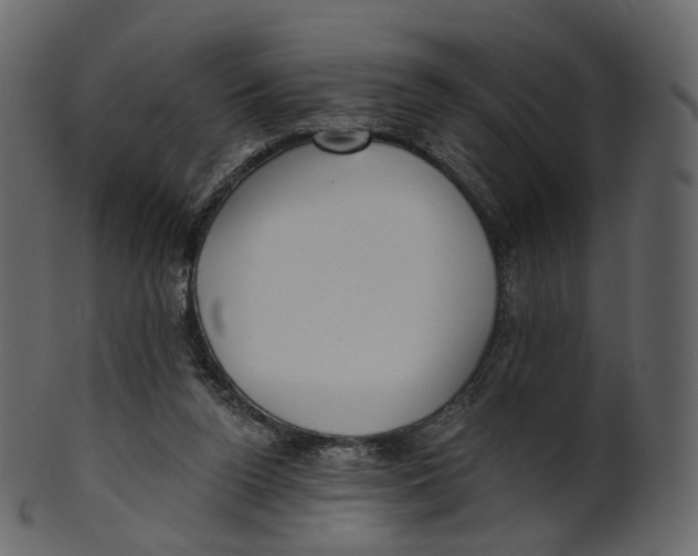 X0000100470160200807031836