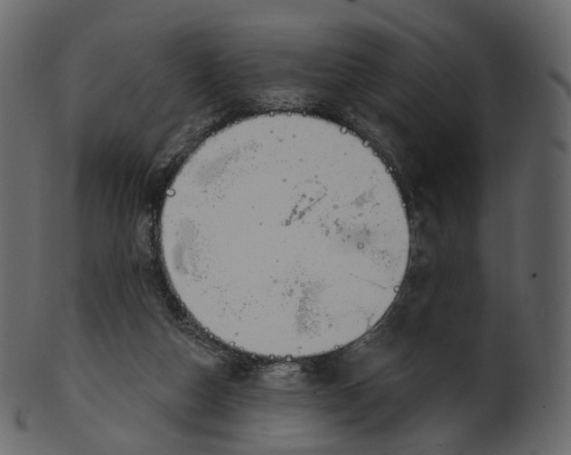 X0000100470162200807031836