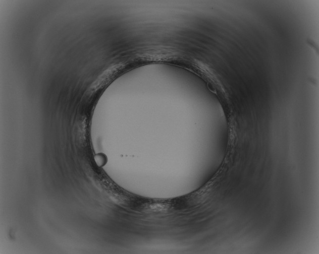 X0000100470163200807031836