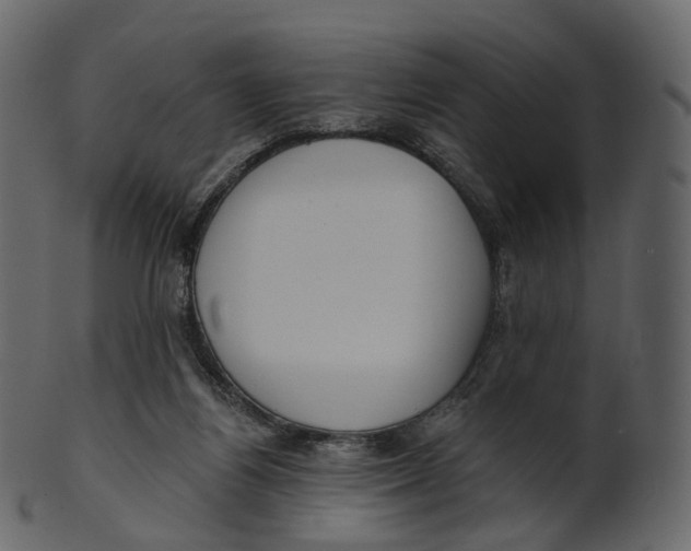 X0000100470164200807031836