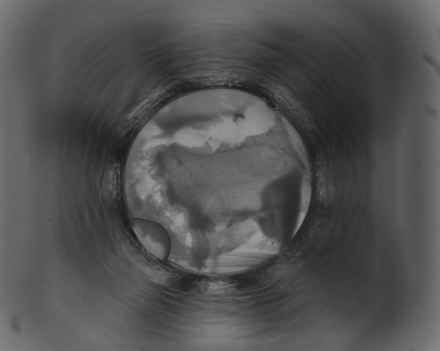 X0000100470165200807031836