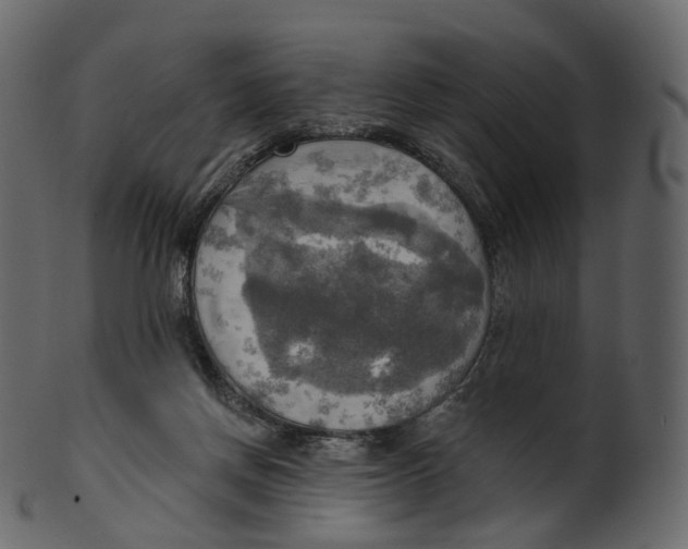 X0000100470166200807031836