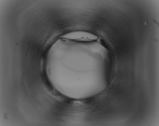 X0000100470167200807031836