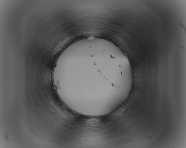 X0000100470168200807031836