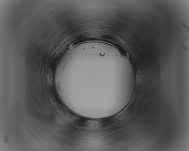 X0000100470170200807031836