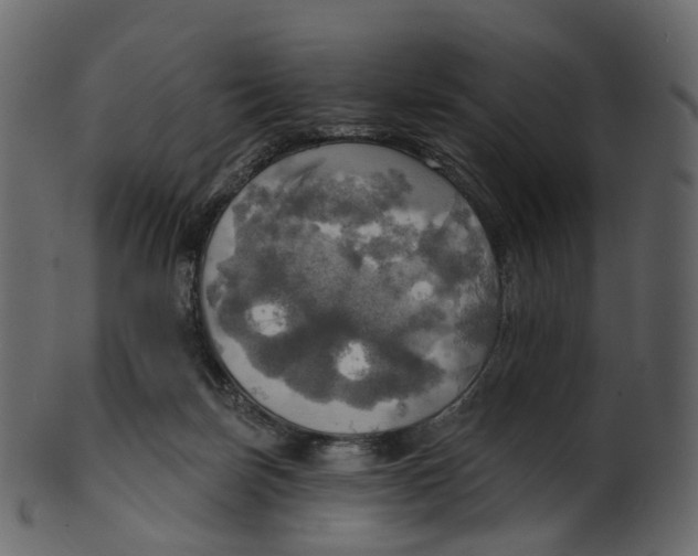 X0000100470171200807031836