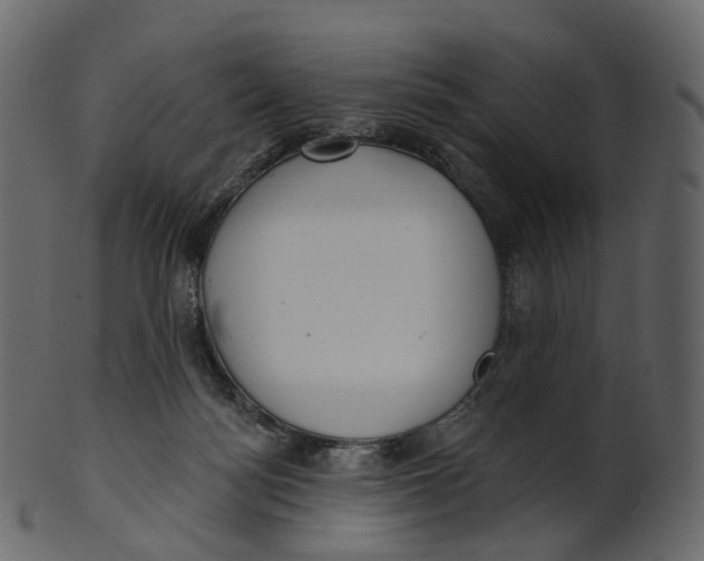 X0000100470172200807031836