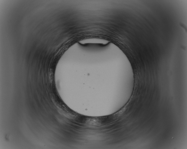 X0000100470174200807031836