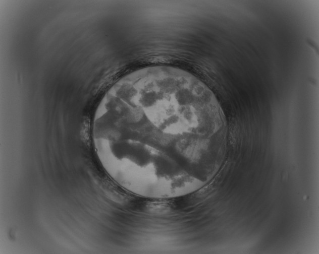 X0000100470175200807031837