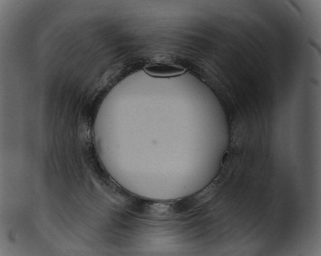 X0000100470176200807031837