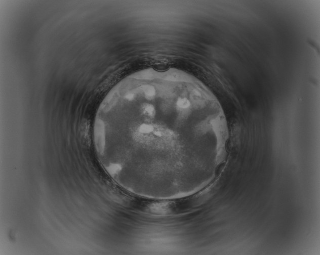 X0000100470178200807031837