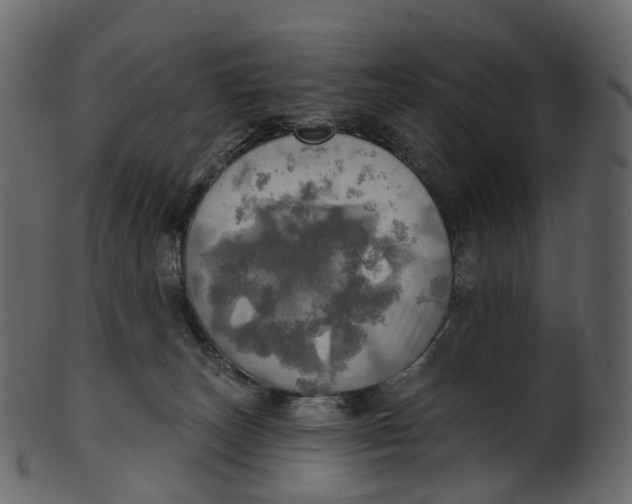 X0000100470179200807031837