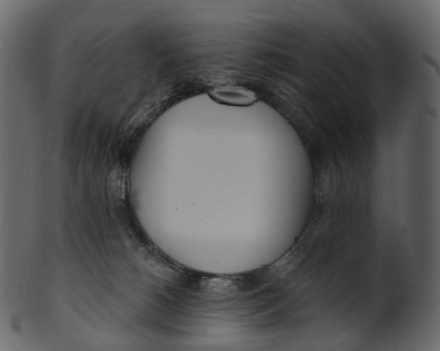 X0000100470180200807031837