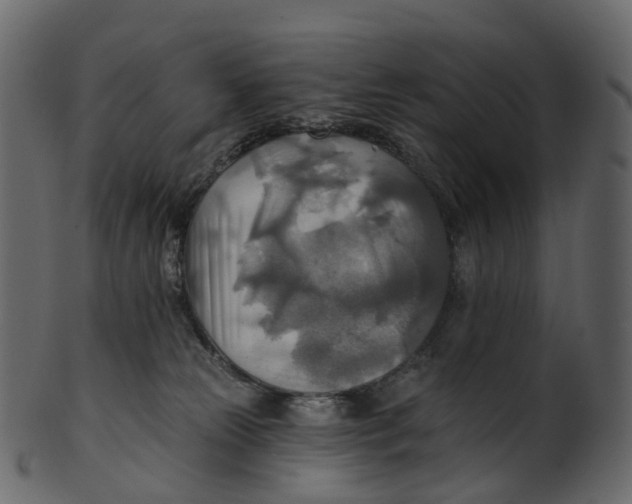 X0000100470181200807031837