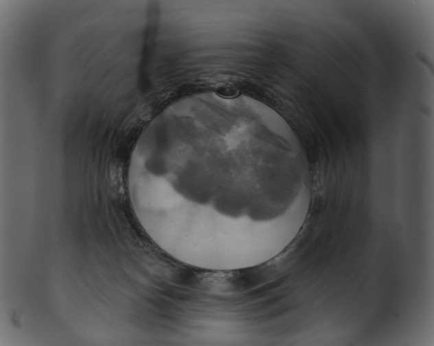 X0000100470182200807031837