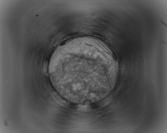 X0000100470185200807031837