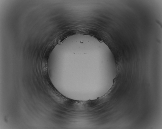 X0000100470186200807031837