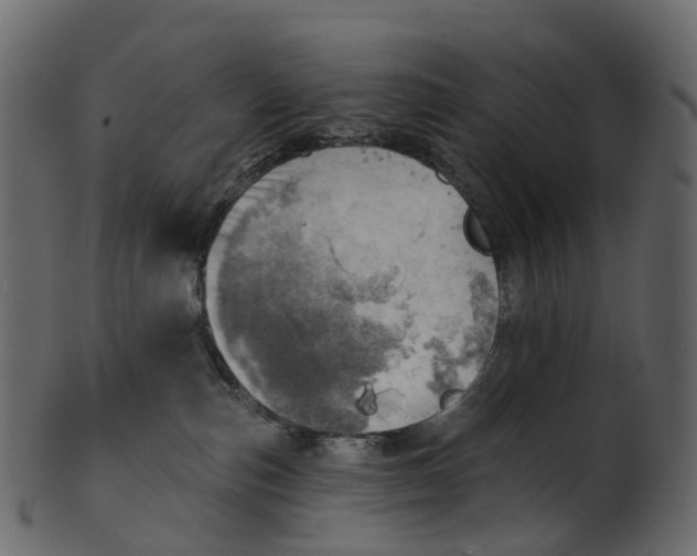 X0000100470187200807031837