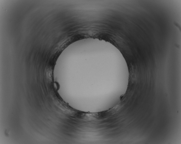 X0000100470188200807031837