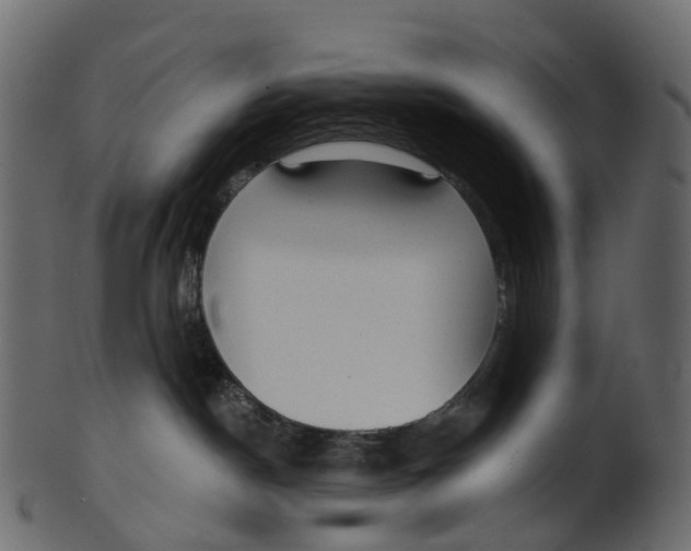 X0000100470190200807031837