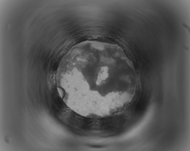 X0000100470191200807031837