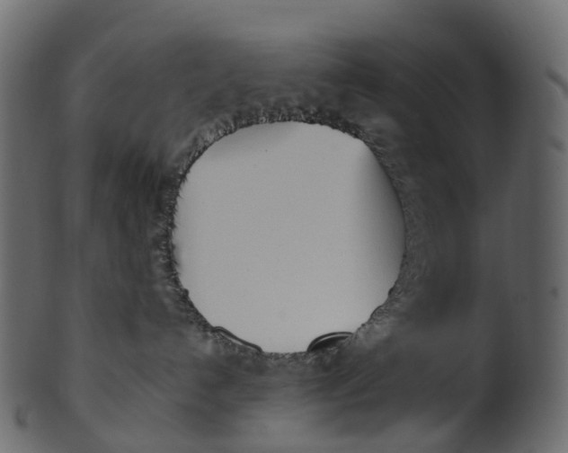 X0000100470192200807031837