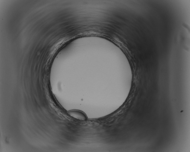 X0000100470193200807031836