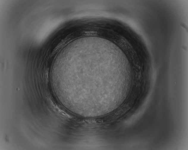 X0000100470194200807031836