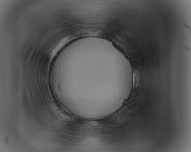 X0000100470195200807031836