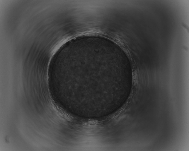 X0000100470196200807031836